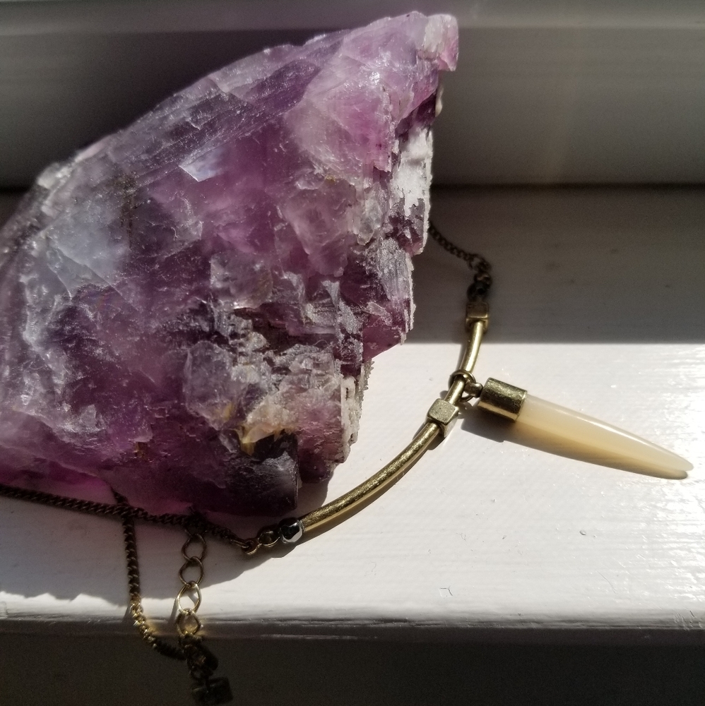 Horn pendant necklace